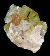 Lustrous, Yellow Cubic Fluorite Crystals - Morocco #32308-1